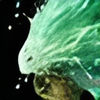 Summon Water Elemental